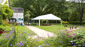 camping riviere